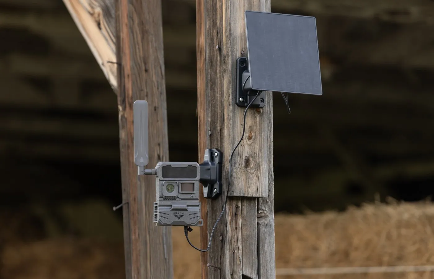 Barn Owl Tech logo