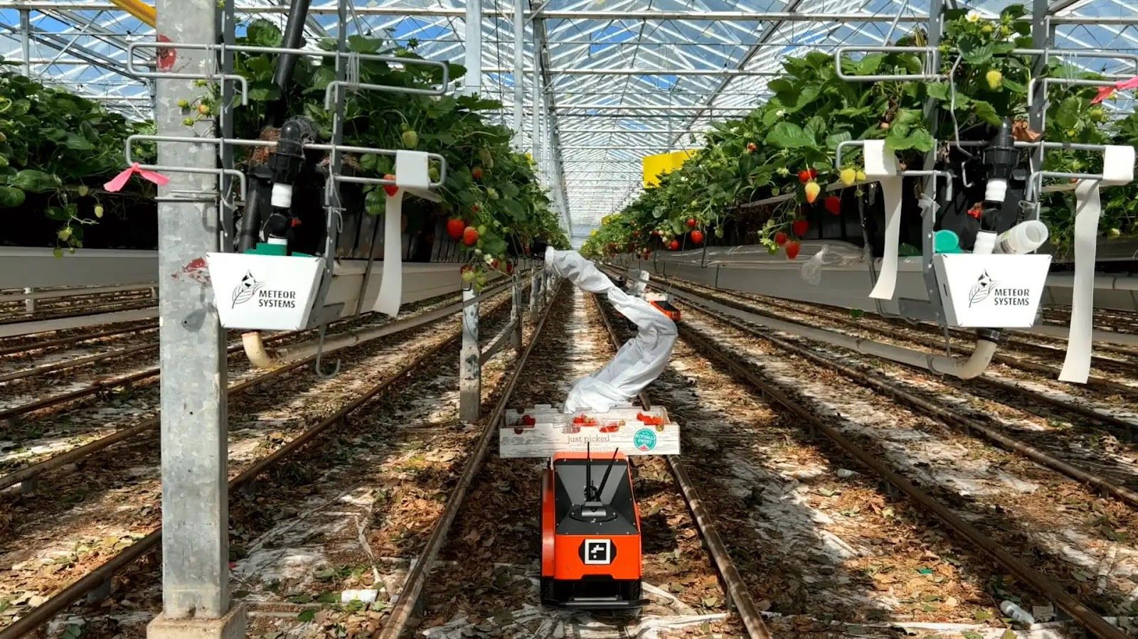 Nupeak Robotics logo