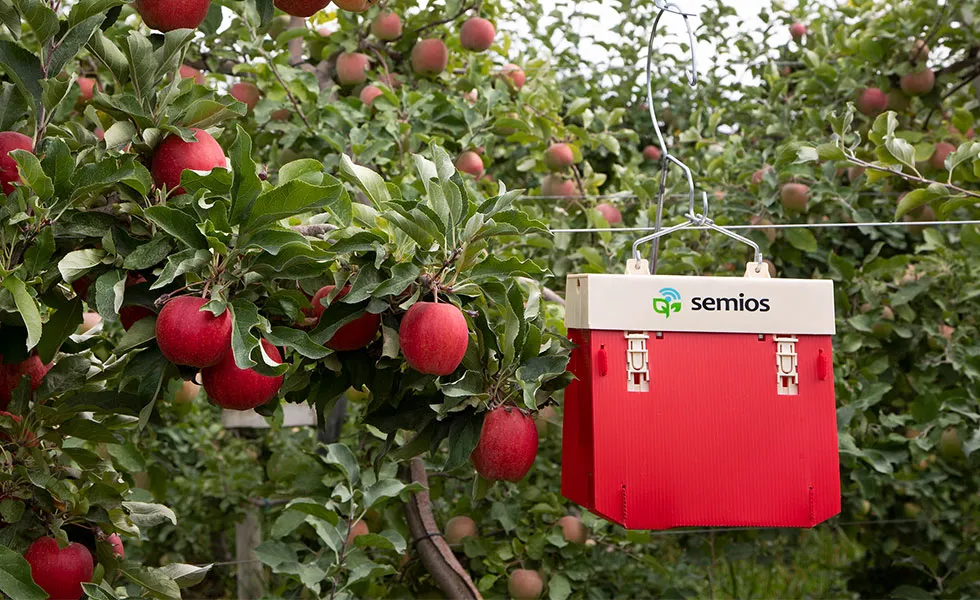 Semios logo